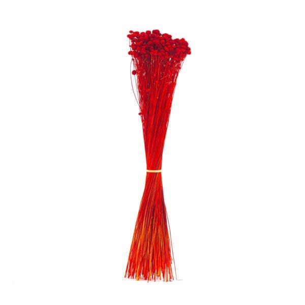 Amarelino Red NI