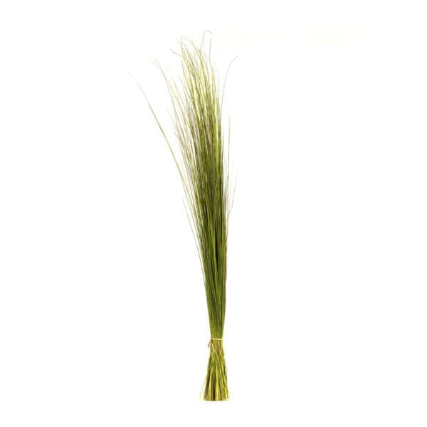Bright Grass Light Green NI