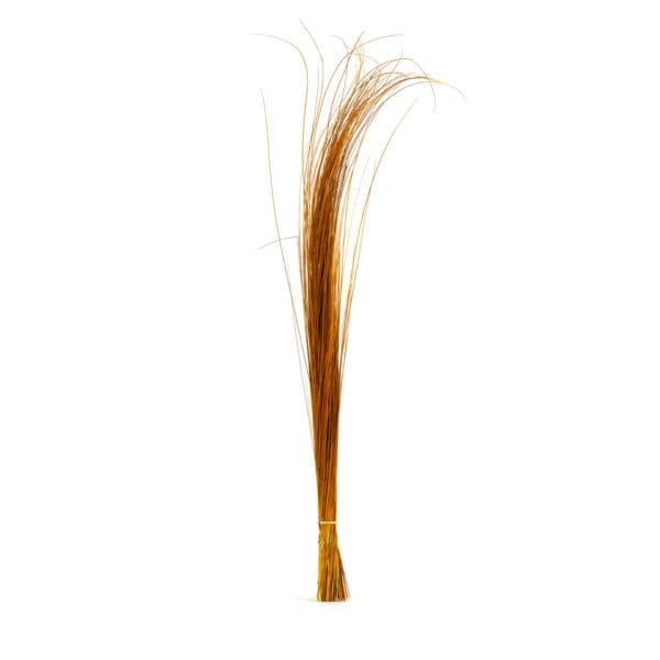 Bright Grass Orange NI