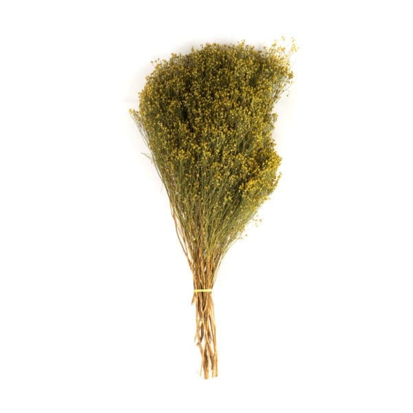 Brooms Natural NI