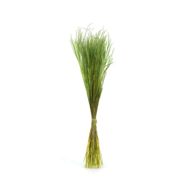 Fine Grass Green NI