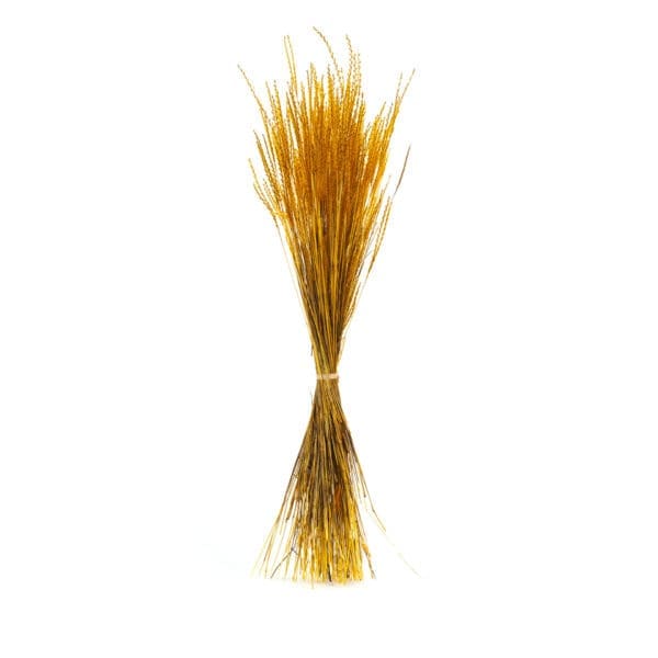Fine Grass Orange NI