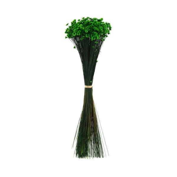 Glixia Green NI