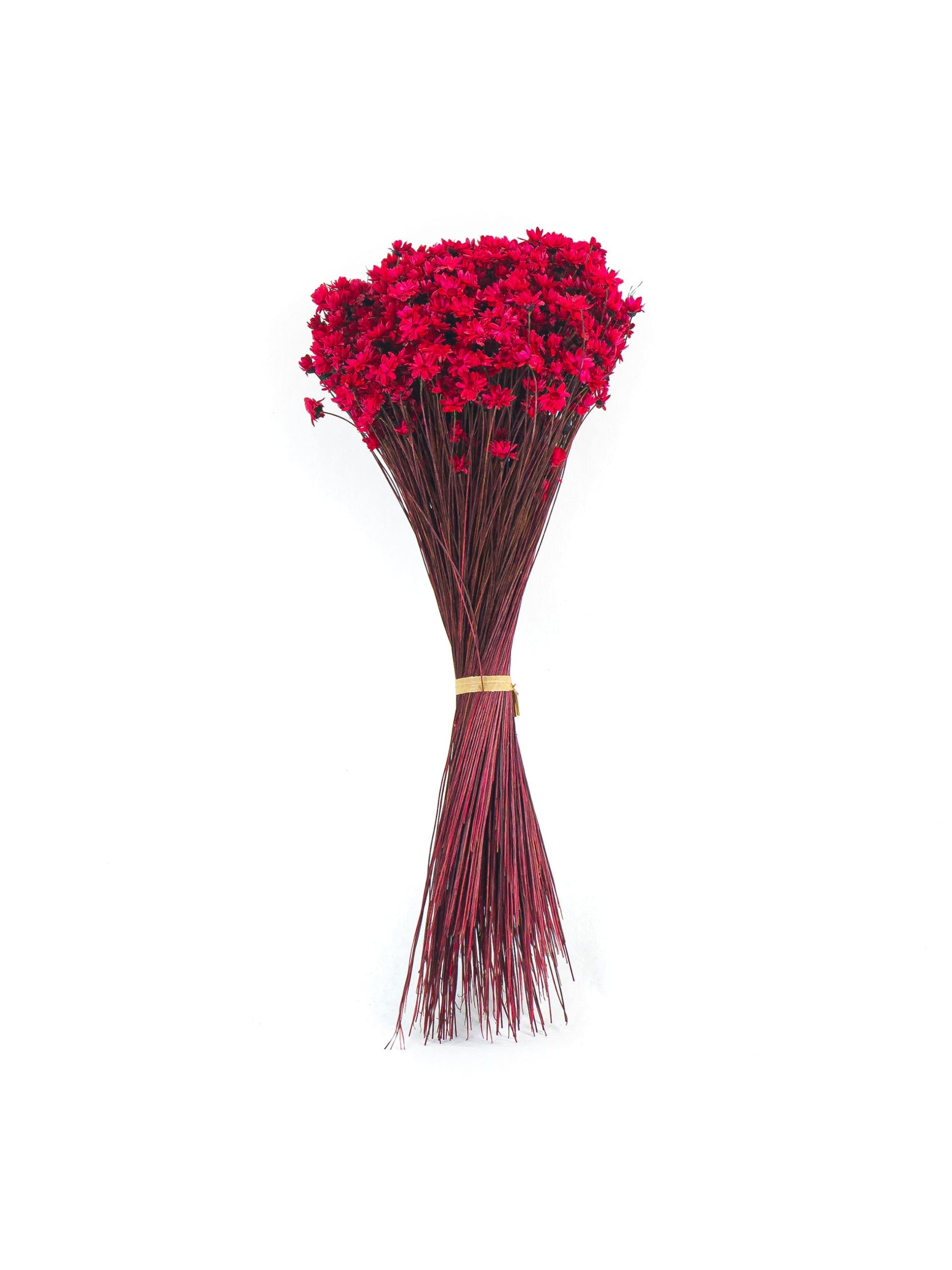 Glixia20Red20NI20Bunch-scaled-1.jpg