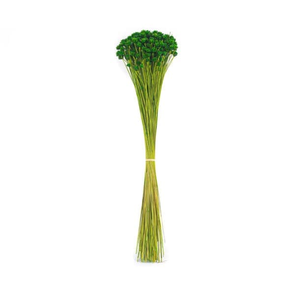 Hill Flower Green NI