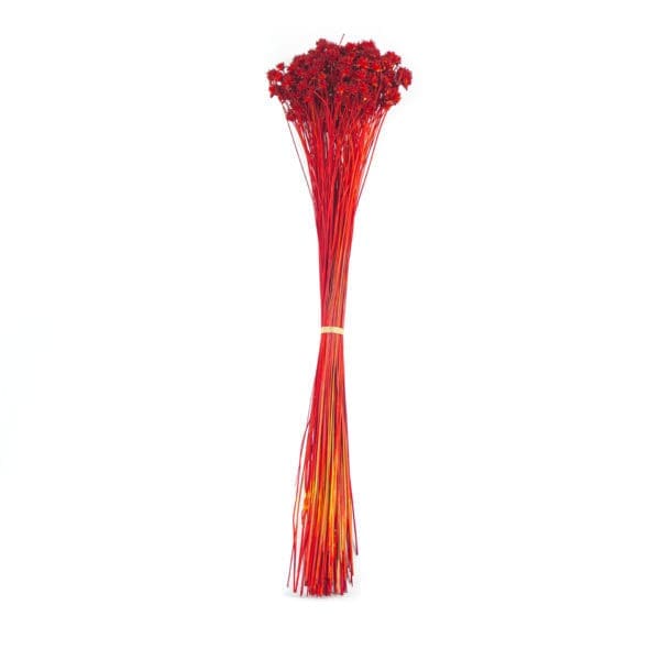 Hill Flower Red NI