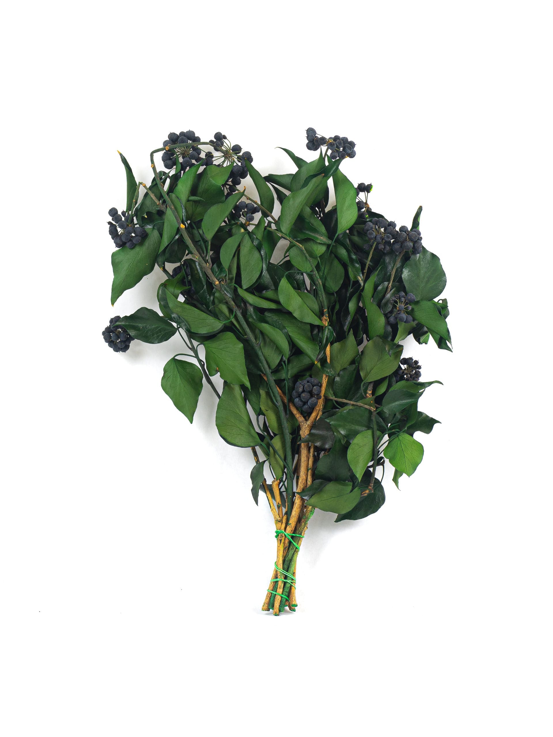 Ivy20With20Fruits20Green20RU20Bunch-scaled-1.jpg