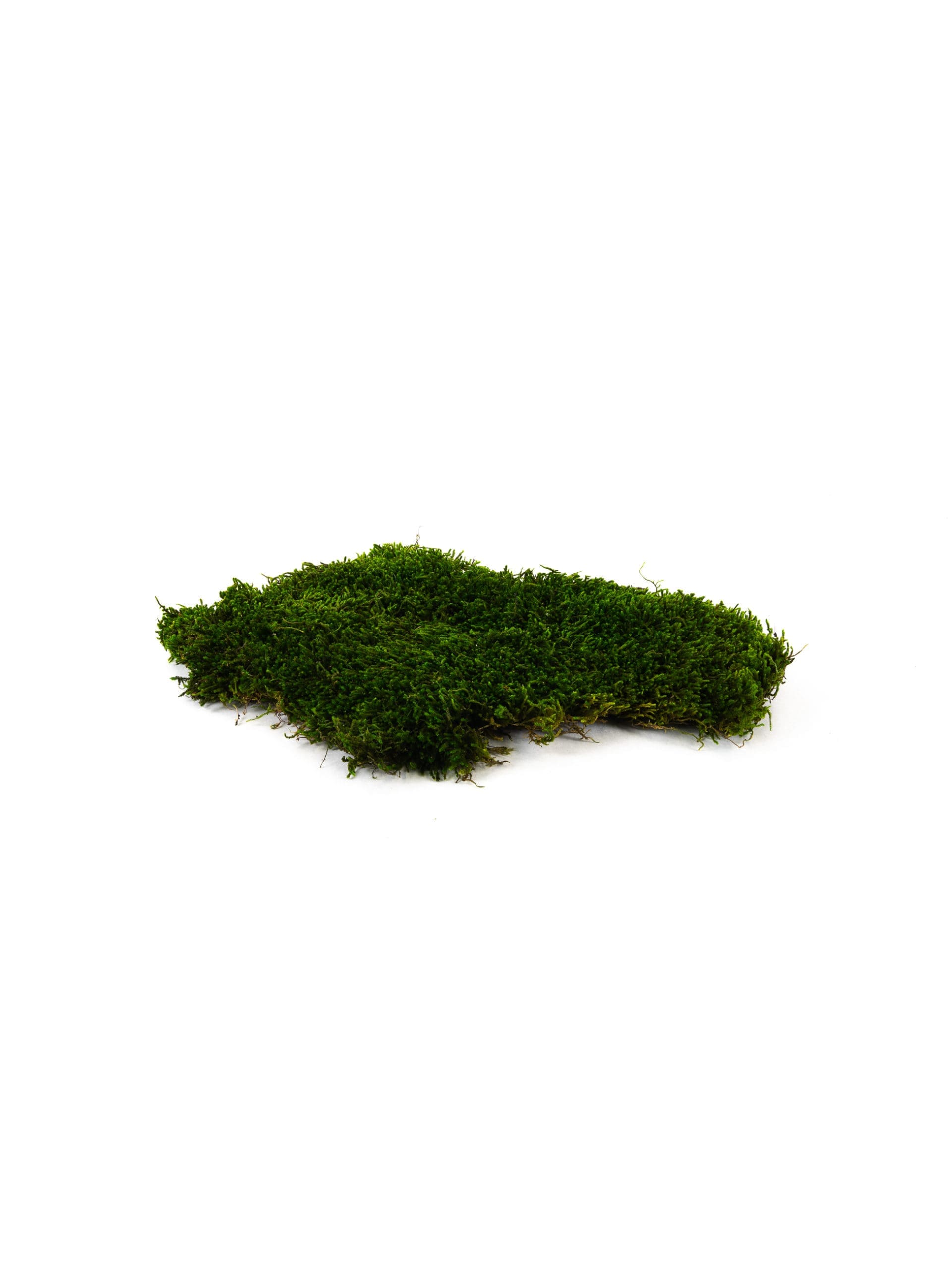 Long20Moss20CA20Bunch201-scaled-1.jpg
