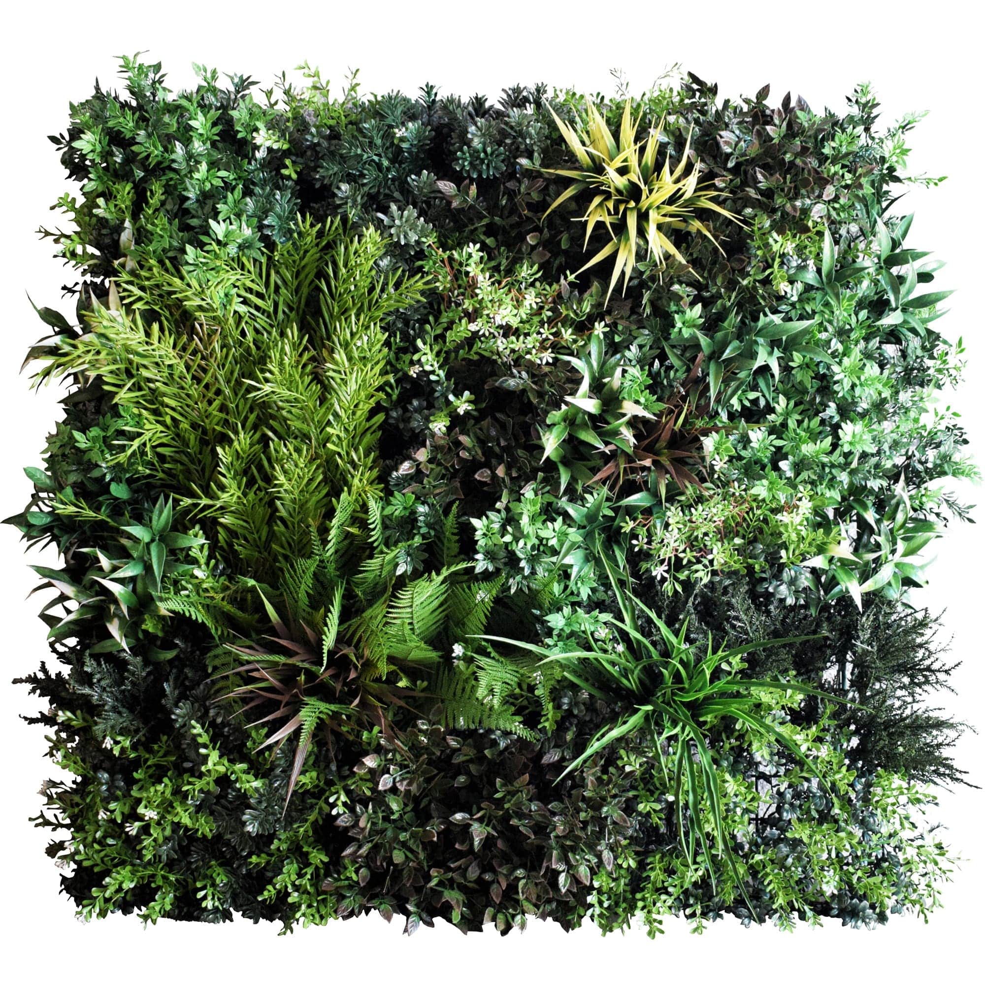 Lush-Green-Plus-Yellow-LY.jpg