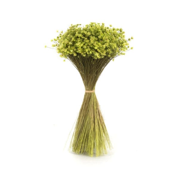 Marcela Light Green NI