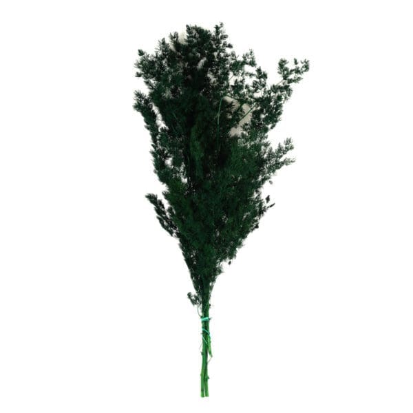 Ming Fern Green NI