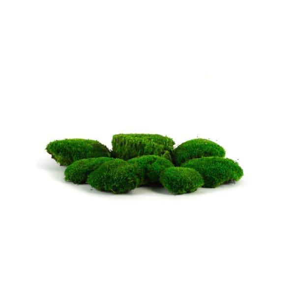 Pole Moss Medium CH (8 lbs MB)