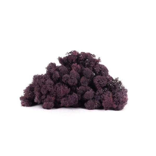 Reindeer Aubergine NO (8 oz bag)