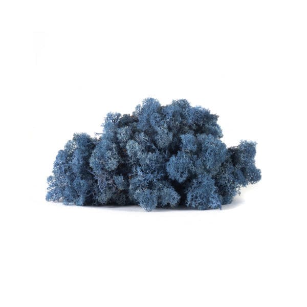 Reindeer Azure Blue NO (8 oz bag)