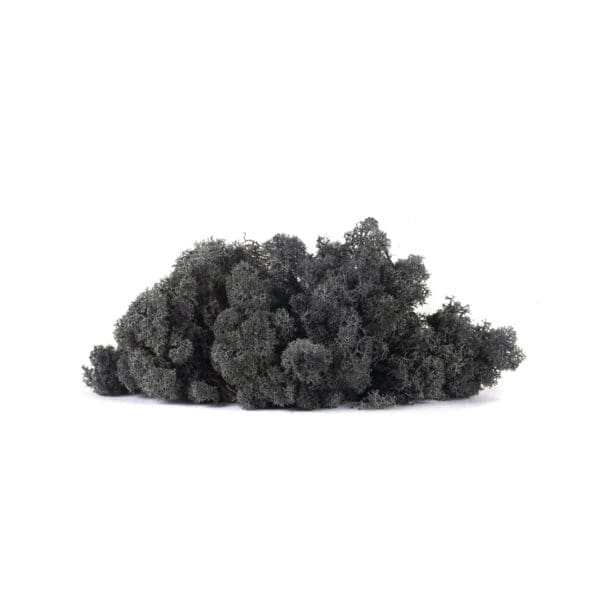 Reindeer Black NO (8 oz bag)