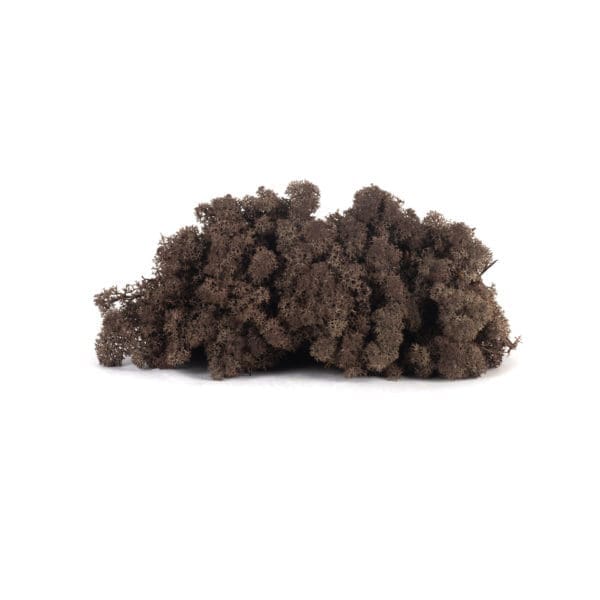 Reindeer Brown NO (8 oz bag)