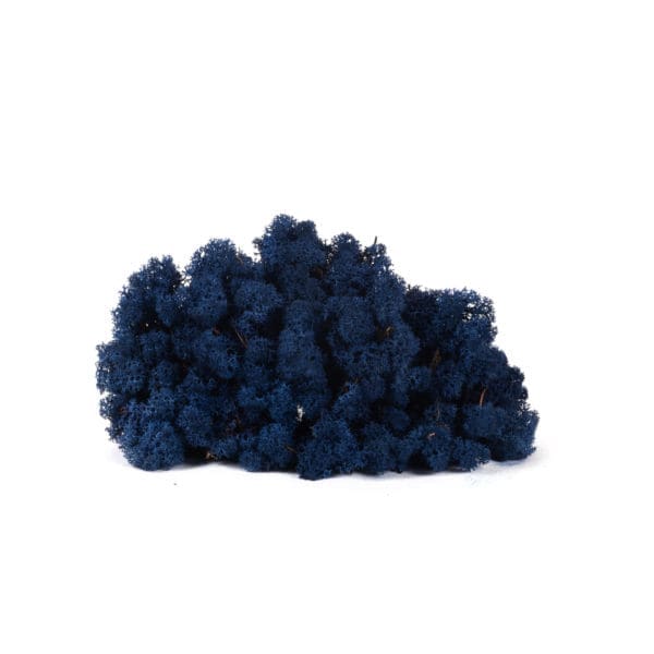 Reindeer Classic Blue NO (9 lbs MB)