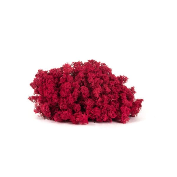 Reindeer Crimson NO (9 lbs MB)