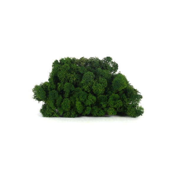 Reindeer Dark Green CA (12 lbs MB)