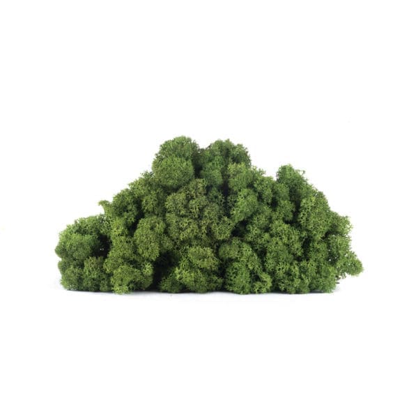 Reindeer Dark Green NO (9 lbs MB)