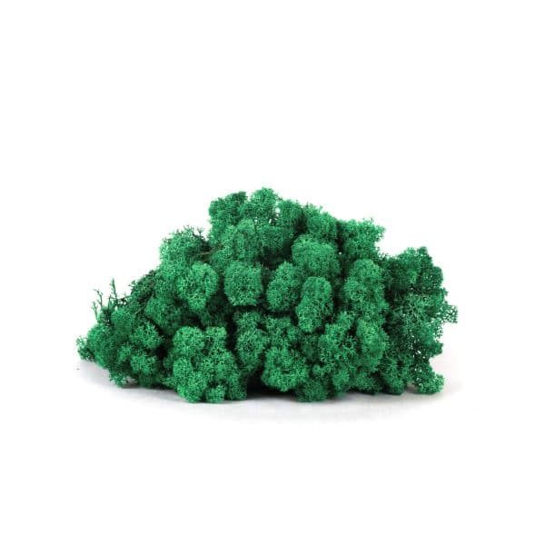 Reindeer Grass Green NO (9 lbs MB)
