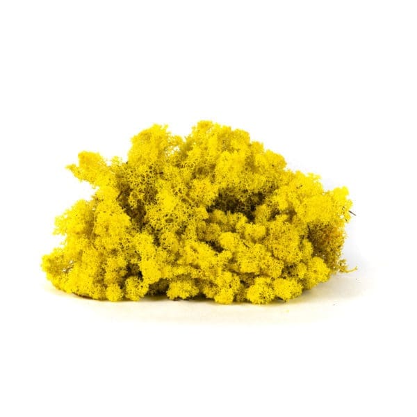 Reindeer Lemon NO (9 lbs MB)