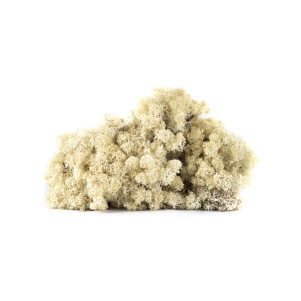 Reindeer Natural NO (8 oz bag)