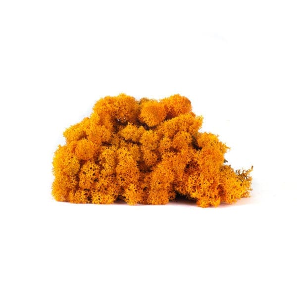 Reindeer Orange NO (8 oz bag)