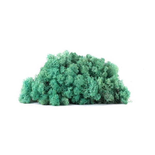 Reindeer Pacific Green NO (9 lbs MB)