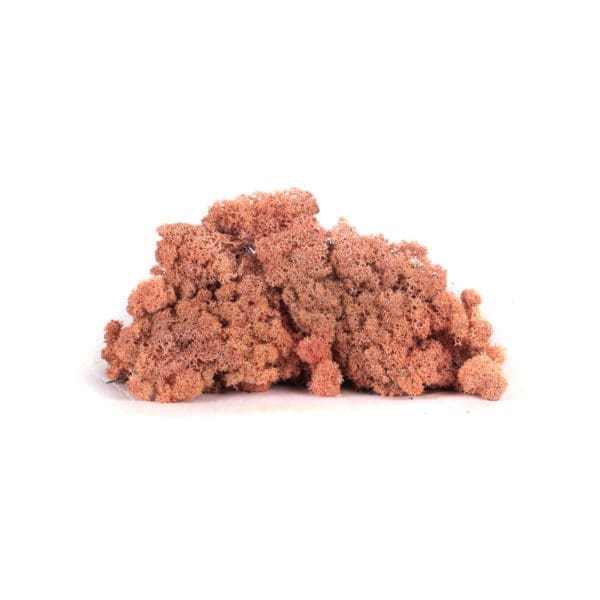 Reindeer Pink NO (8 oz bag)