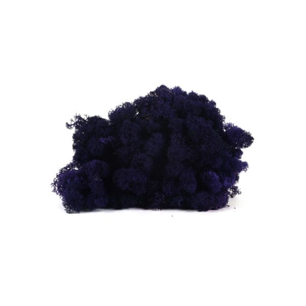 Reindeer Purple CA (12 lbs MB)