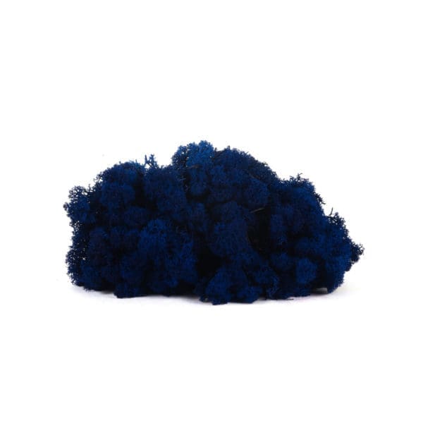 Reindeer Royal Blue CA (12 lbs MB)