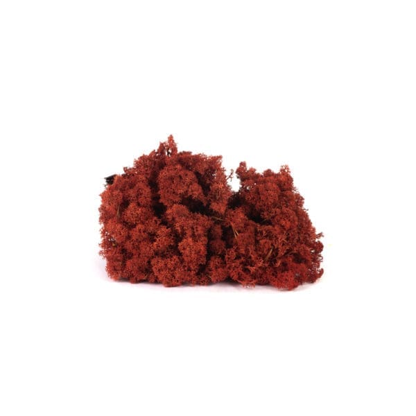 Reindeer Sienna NO (8 oz bag)