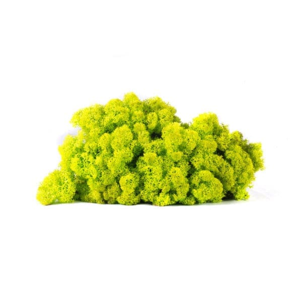 Reindeer Spring Green NO (8 oz bag)