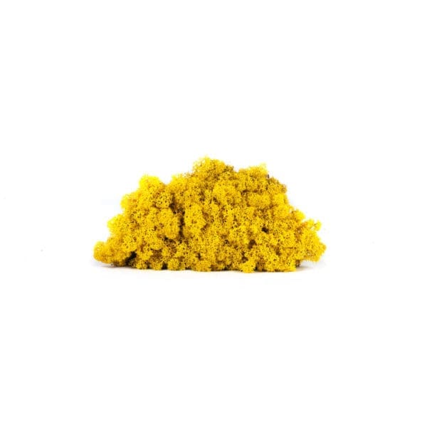 Reindeer Yellow NO (9 lbs MB)