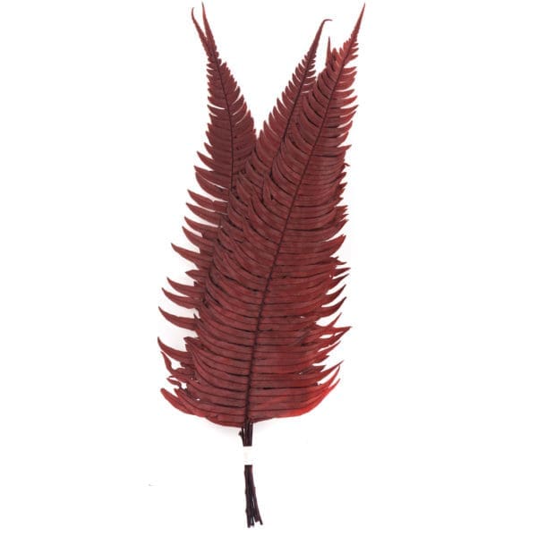 Fern Rock Red NA