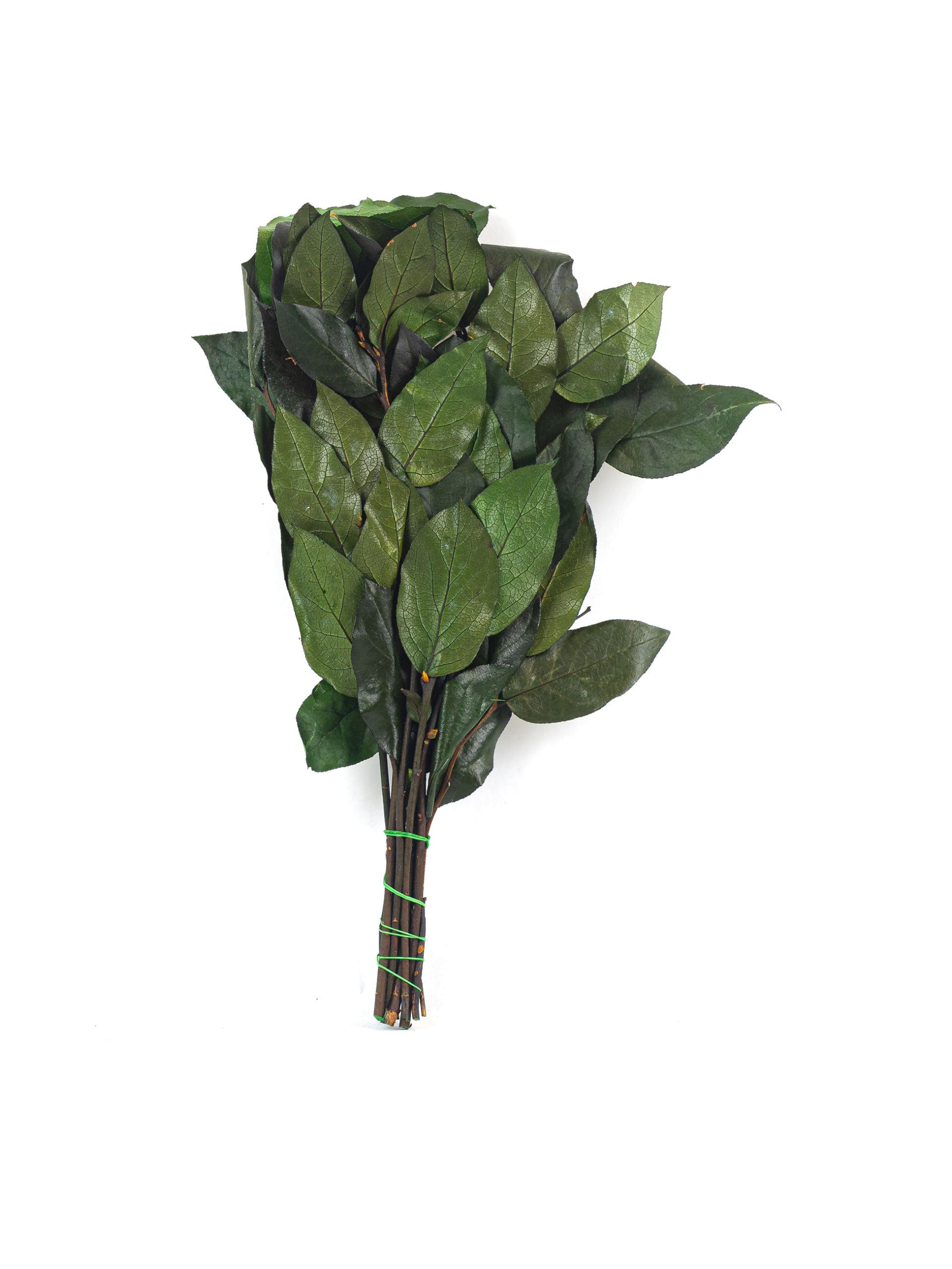 Salal20Green20NI20Bunch-scaled-1.jpg