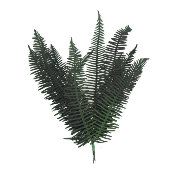 Fern Seagull Green NI