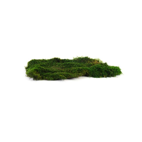 Sheet Moss Dark CA (8 lbs MB)