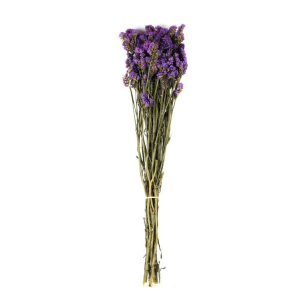 Statice Sinuata Dry Purple NI