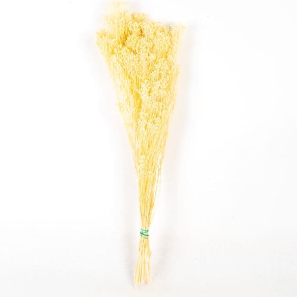 Brooms White NI