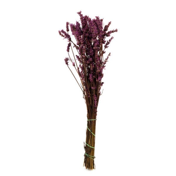 Lavender Light Purple RU