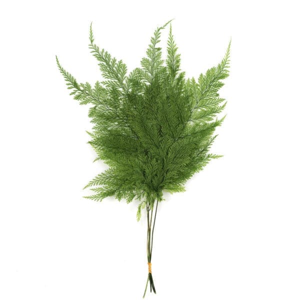 Fern Tabalia Green OH