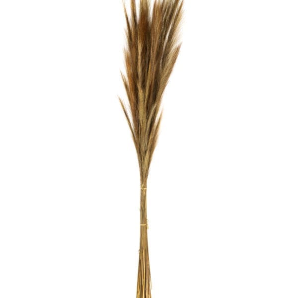 Fox Grass Natural NI