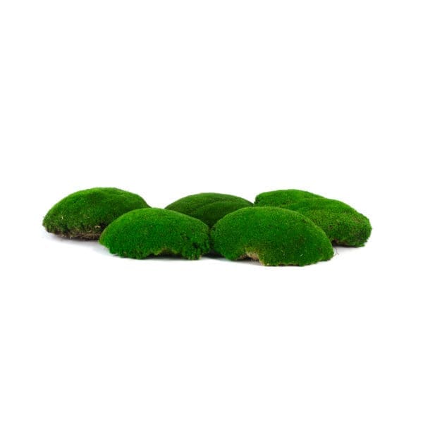 Pole Moss Green XL IS (6 lbs MB)