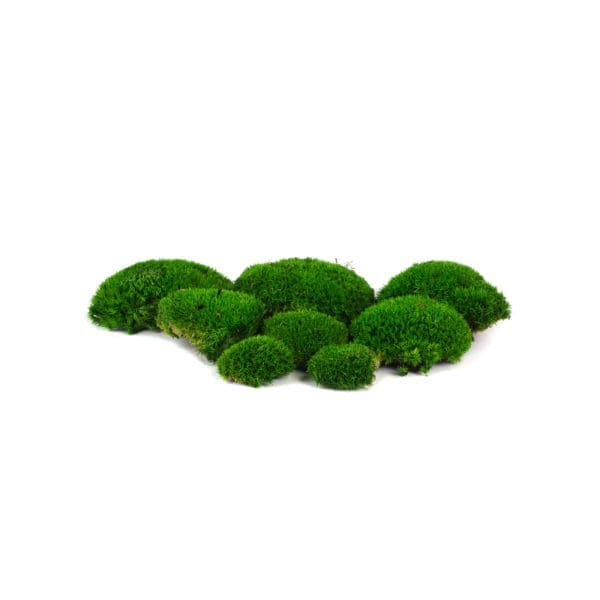 Pole Moss Mini Green IS (8 lbs MB)
