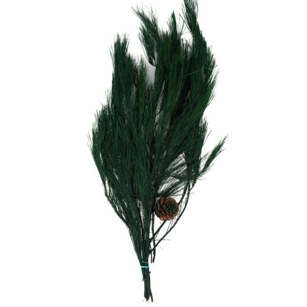 Rama Pino Green NI