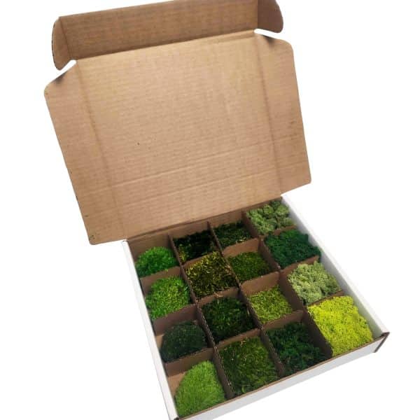 Sample Mix Moss