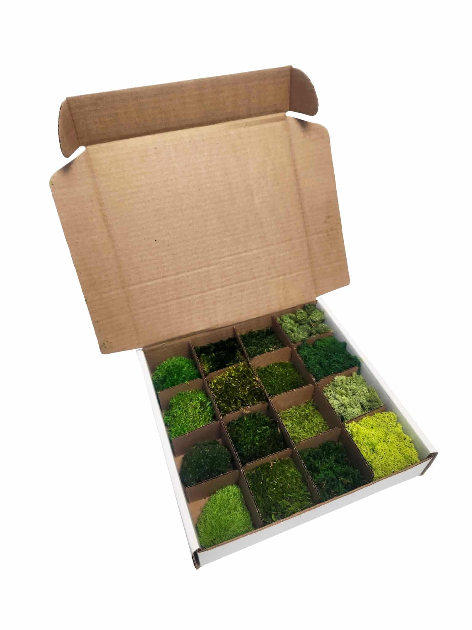 Sample Mix Moss