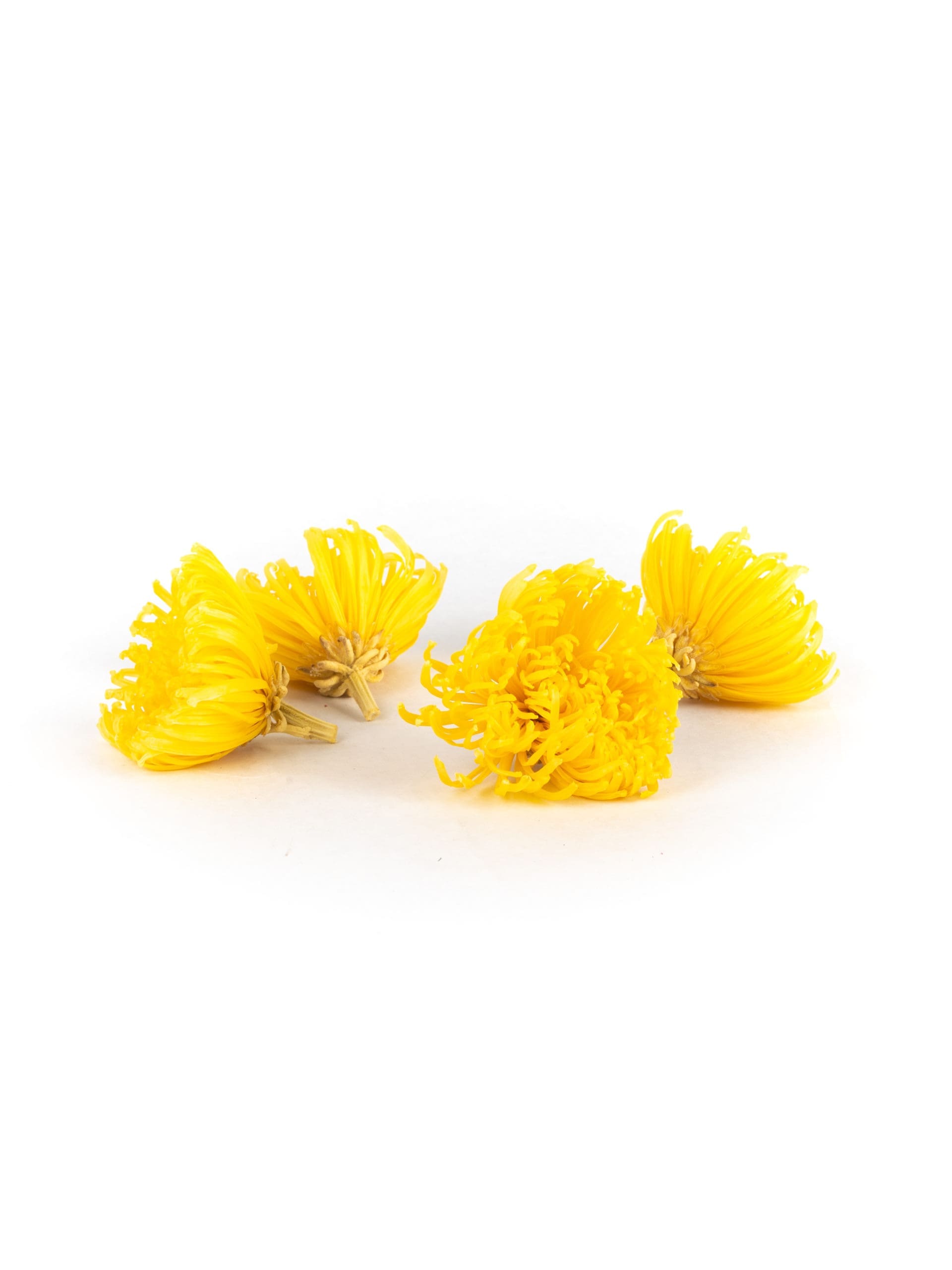 Anastasia20Yellow20-20Bunch.jpg